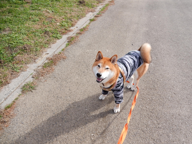 f:id:miyuki1967:20151209115323j:image:w450