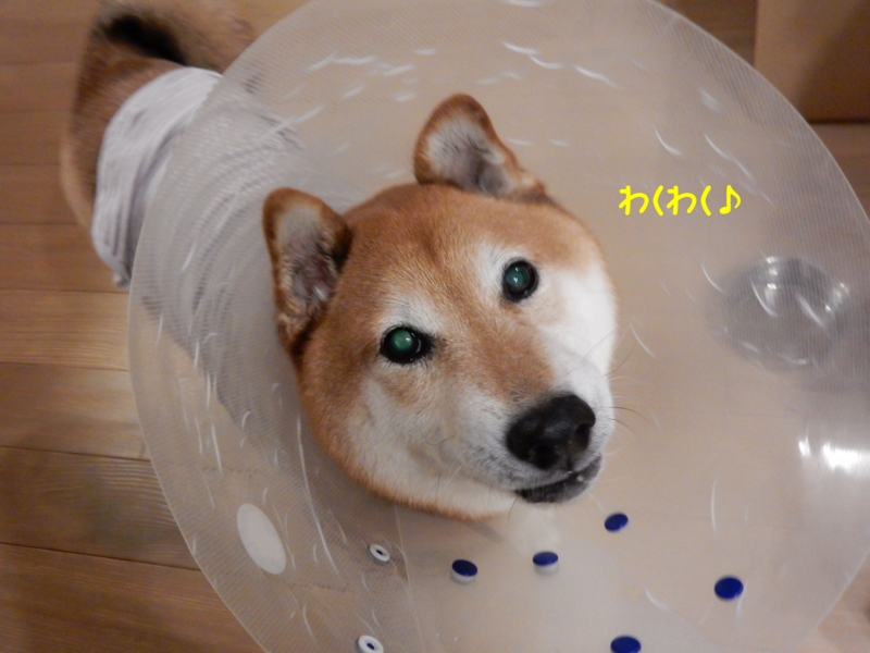 f:id:miyuki1967:20151216113041j:image:w450 f:id:miyuki1967:20151216113041j:image:w450