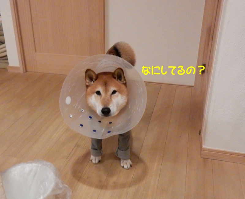 f:id:miyuki1967:20160108091131j:image:w450