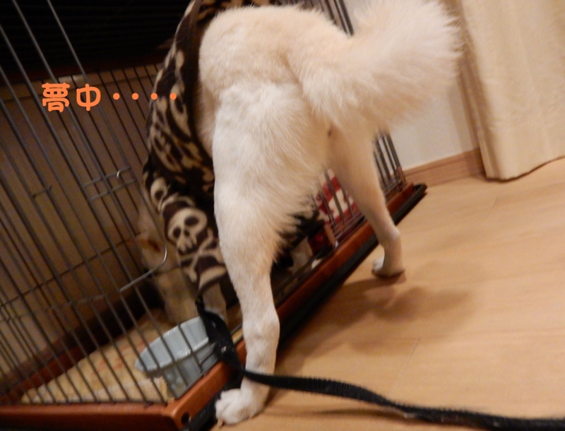 f:id:miyuki1967:20160108093037j:image:w450