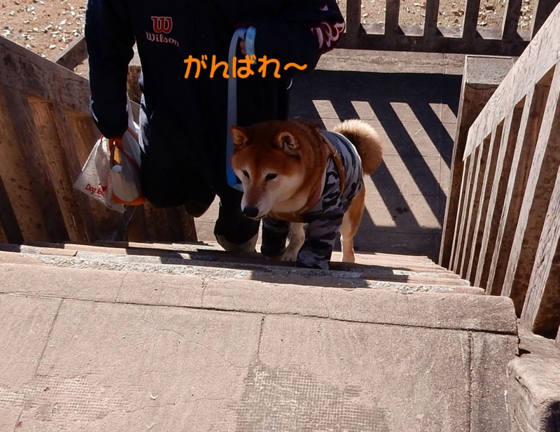 f:id:miyuki1967:20160109103828j:image:w450