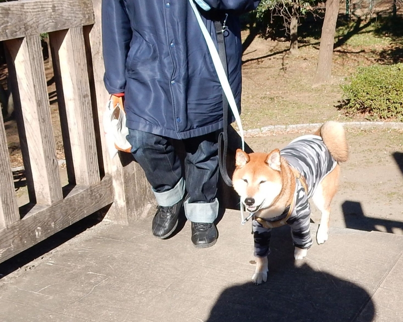 f:id:miyuki1967:20160109103834j:image:w450