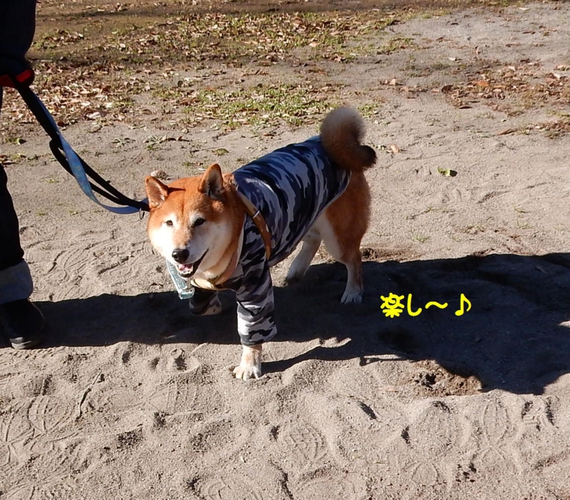 f:id:miyuki1967:20160109104317j:image:w450