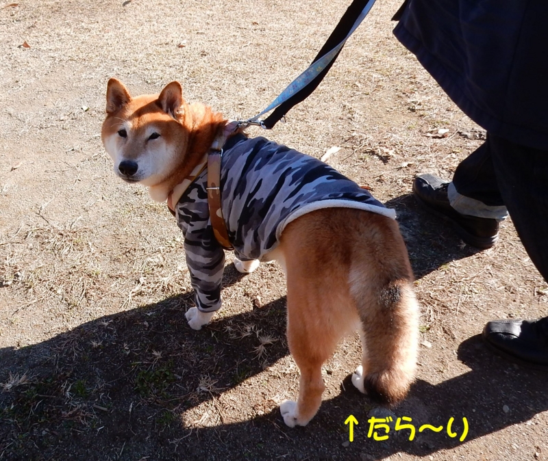 f:id:miyuki1967:20160109104321j:image:w450
