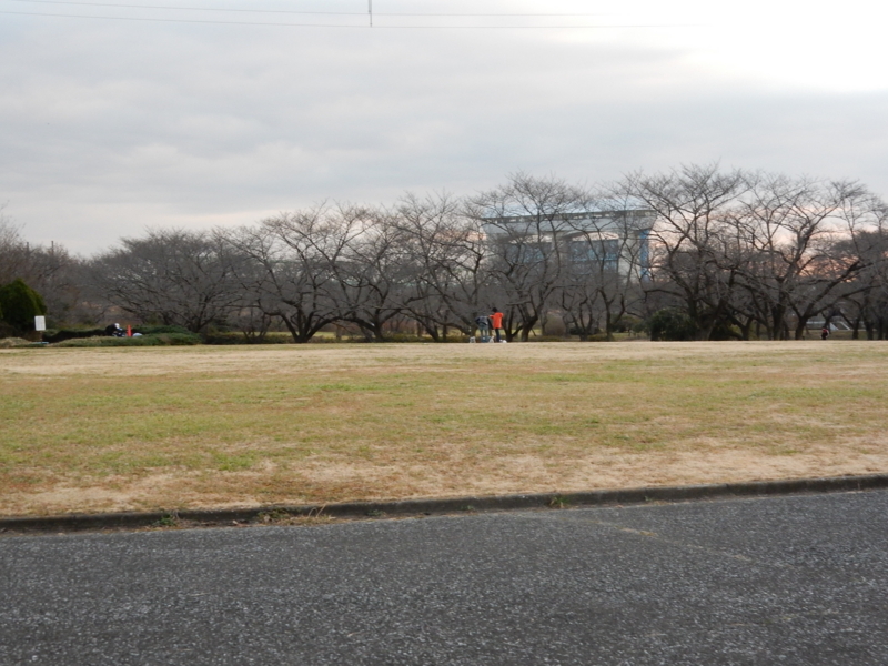 f:id:miyuki1967:20160115105036j:image:w450