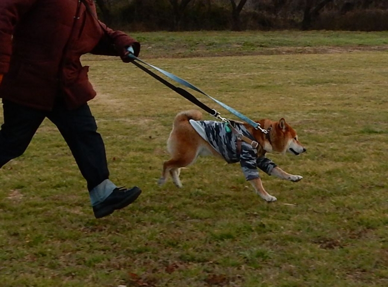 f:id:miyuki1967:20160115105237j:image:w450