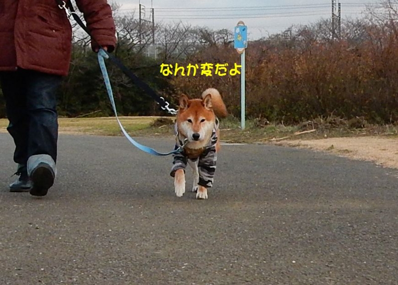 f:id:miyuki1967:20160115105631j:image:w450