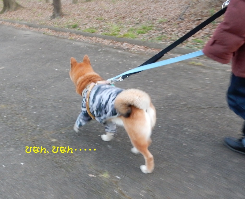 f:id:miyuki1967:20160115110343j:image:w450