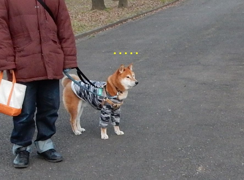 f:id:miyuki1967:20160115110350j:image:w450