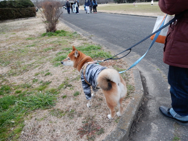 f:id:miyuki1967:20160115111446j:image:w450