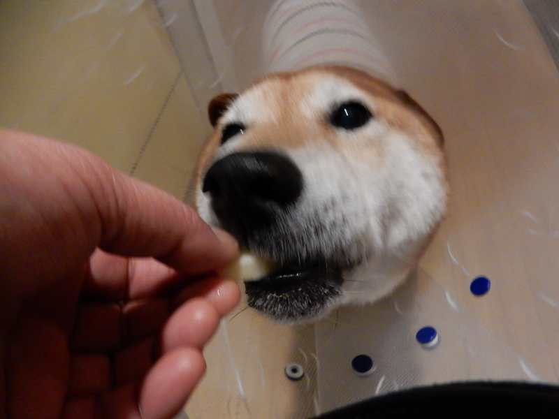 f:id:miyuki1967:20160119104530j:image:w450