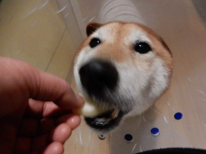 f:id:miyuki1967:20160119104541j:image:w450