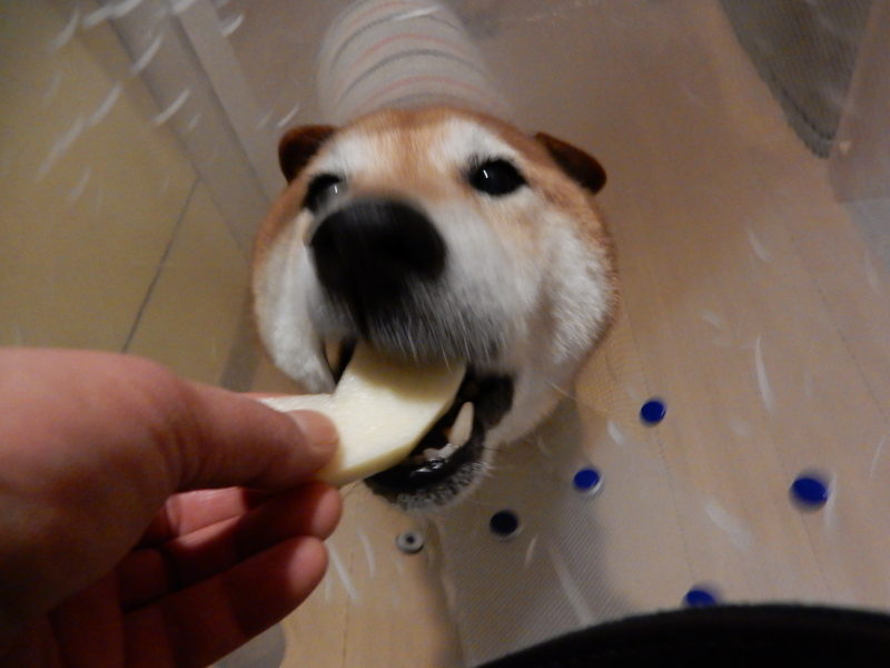 f:id:miyuki1967:20160119104554j:image:w450