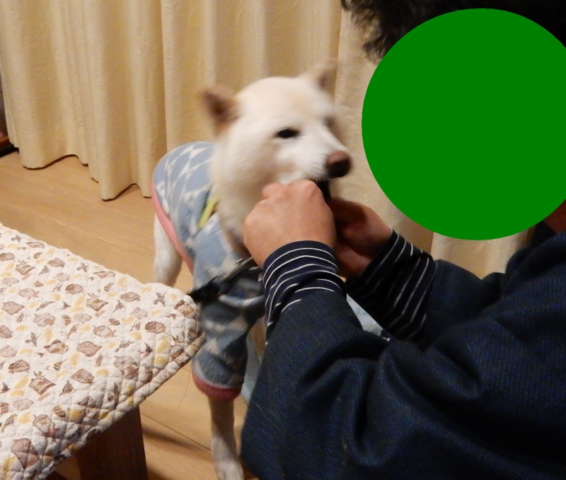 f:id:miyuki1967:20160119104605j:image:w450