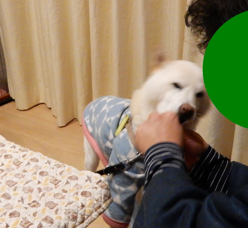 f:id:miyuki1967:20160119104610j:image:w450