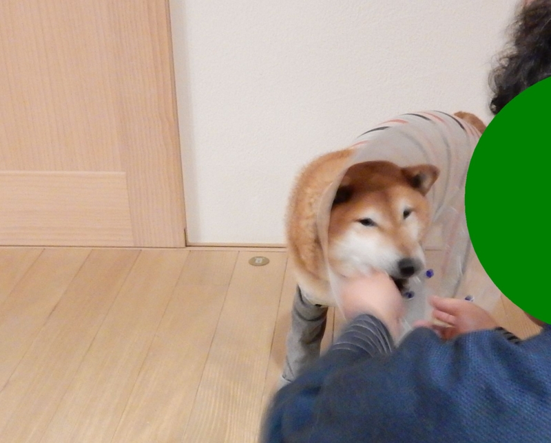 f:id:miyuki1967:20160119104615j:image:w450