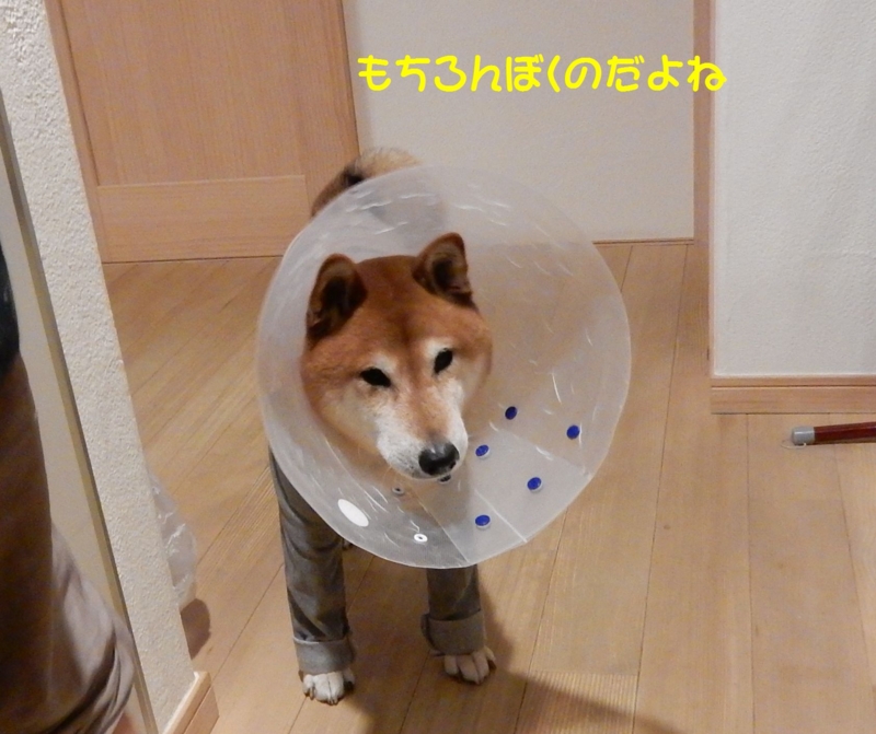 f:id:miyuki1967:20160119104618j:image:w450