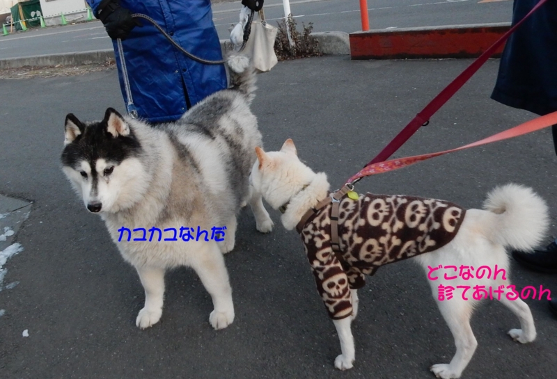 f:id:miyuki1967:20160122114638j:image:w450