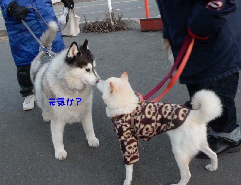 f:id:miyuki1967:20160122114642j:image:w450