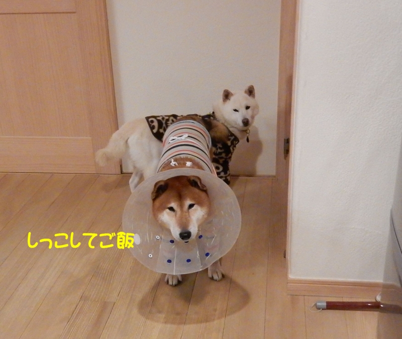 f:id:miyuki1967:20160127103538j:image:w450