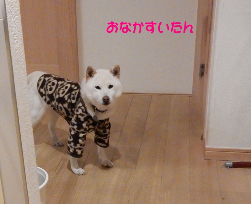 f:id:miyuki1967:20160127103549j:image:w450