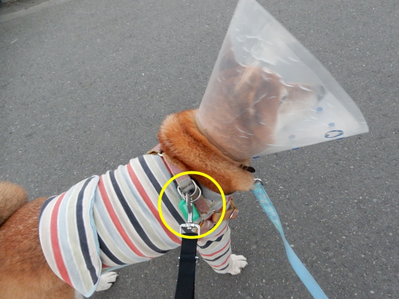 f:id:miyuki1967:20160127111153j:image:w450