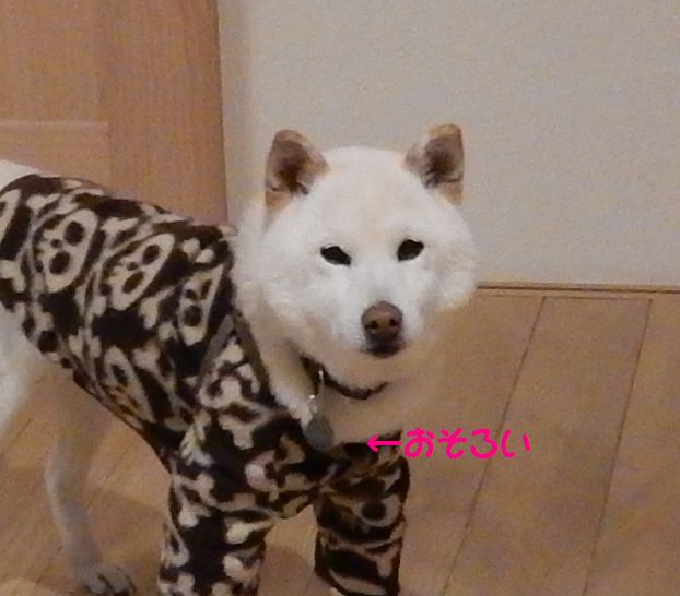 f:id:miyuki1967:20160127115741j:image:w450