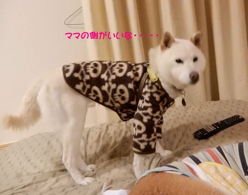 f:id:miyuki1967:20160129114244j:image:w450