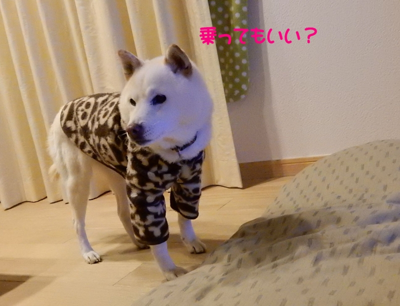 f:id:miyuki1967:20160129114300j:image:w450