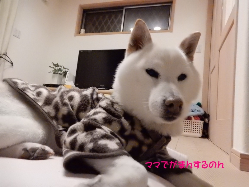 f:id:miyuki1967:20160204105551j:image:w450