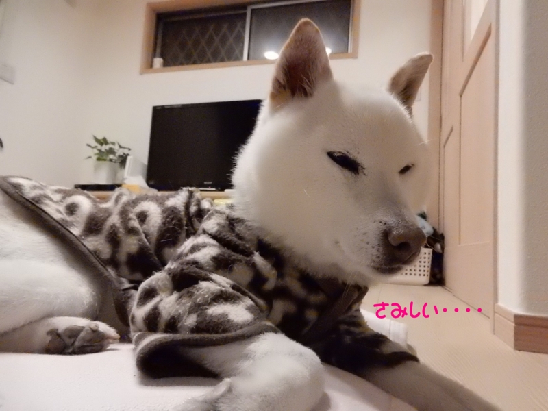 f:id:miyuki1967:20160204105616j:image:w450