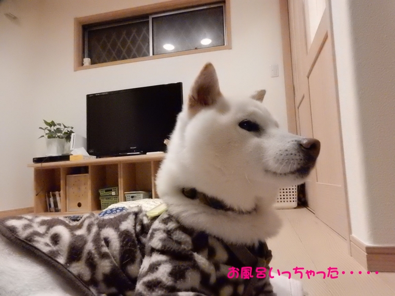 f:id:miyuki1967:20160204105625j:image:w450