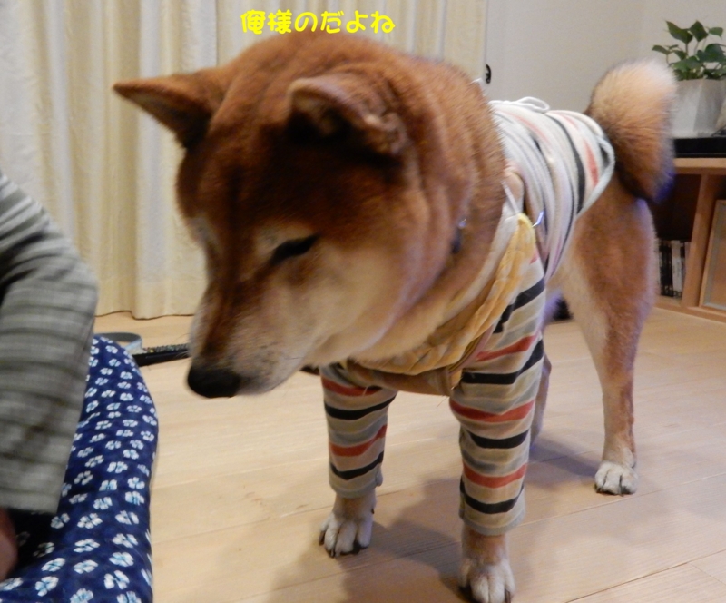 f:id:miyuki1967:20160208112050j:image:w450