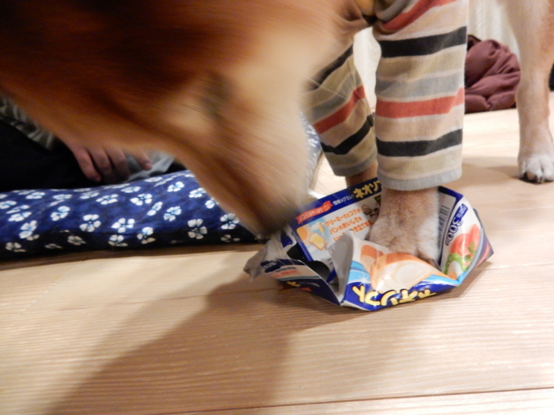 f:id:miyuki1967:20160208112108j:image:w450