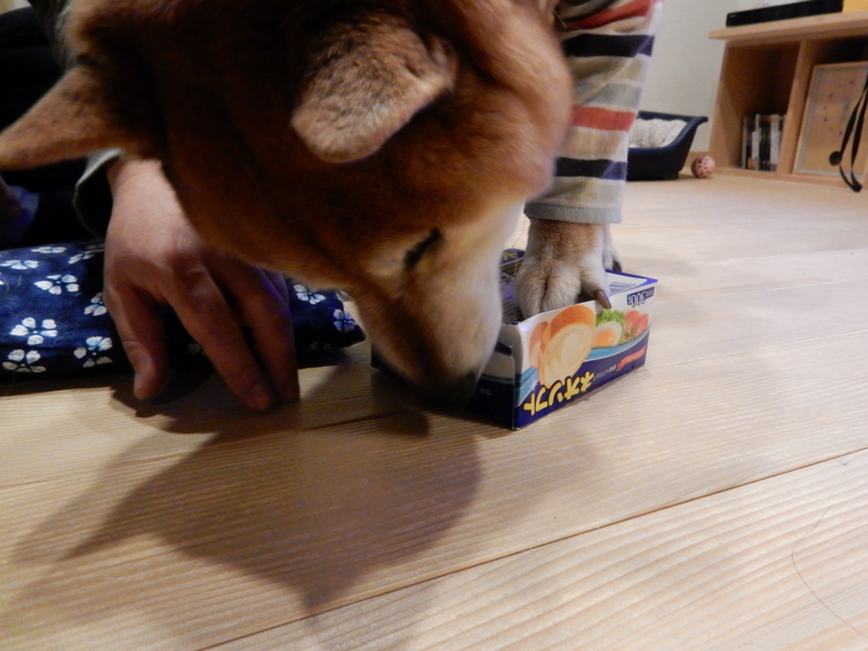 f:id:miyuki1967:20160208112129j:image:w450