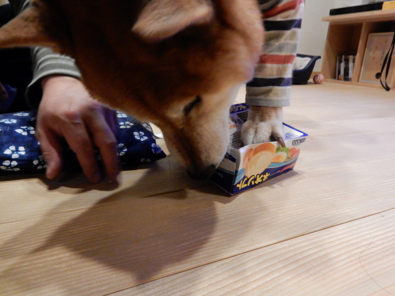 f:id:miyuki1967:20160208112139j:image:w450