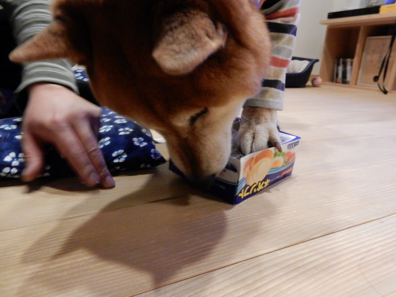 f:id:miyuki1967:20160208112149j:image:w450