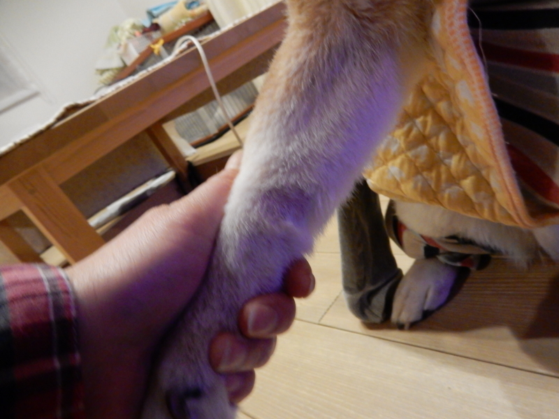 f:id:miyuki1967:20160219094213j:image:w450 f:id:miyuki1967:20160219094213j:image:w450