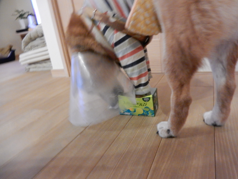 f:id:miyuki1967:20160219163006j:image:w450