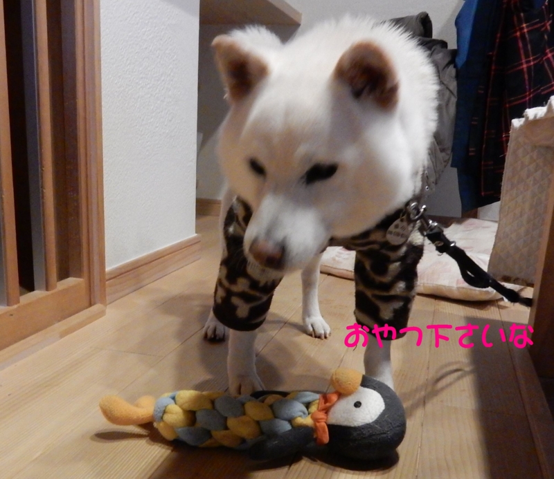 f:id:miyuki1967:20160219163021j:image:w450