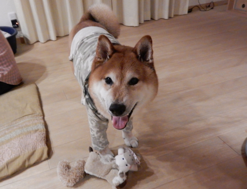 f:id:miyuki1967:20160607113009j:image:w450 f:id:miyuki1967:20160607113009j:image:w450