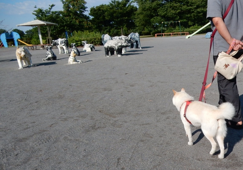 f:id:miyuki1967:20160621113322j:image:w450