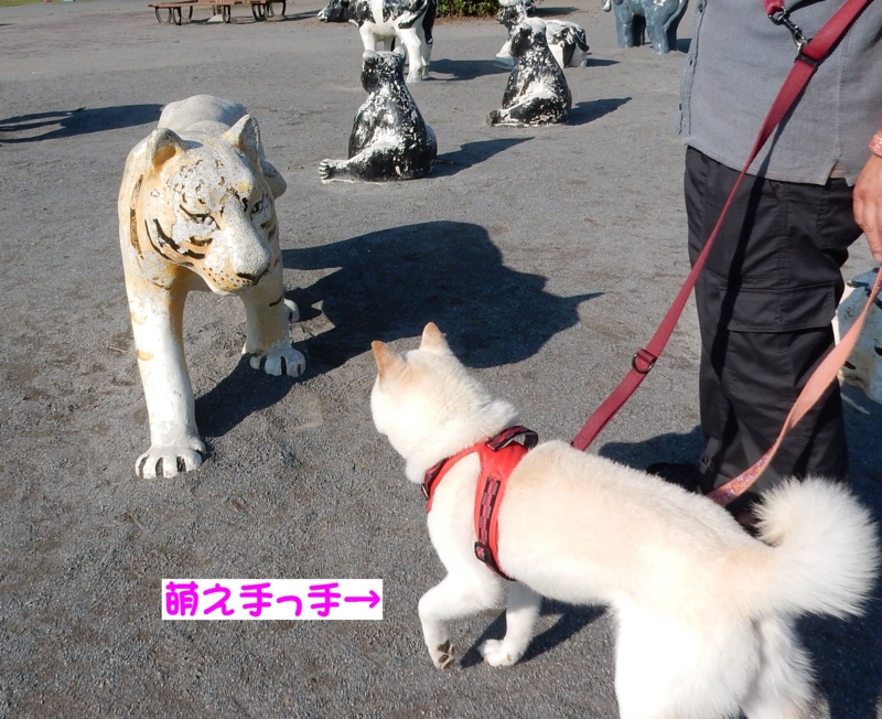 f:id:miyuki1967:20160621113323j:image:w450