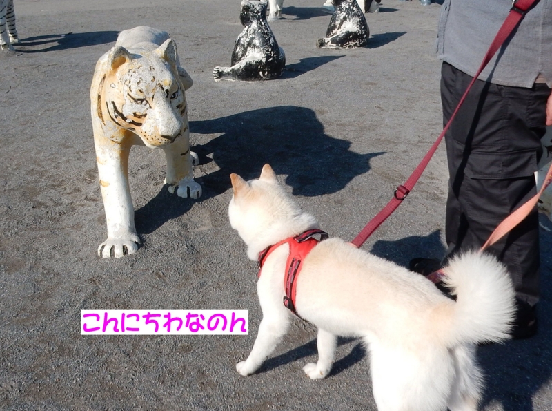 f:id:miyuki1967:20160621113324j:image:w450