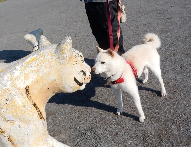 f:id:miyuki1967:20160621113325j:image:w450