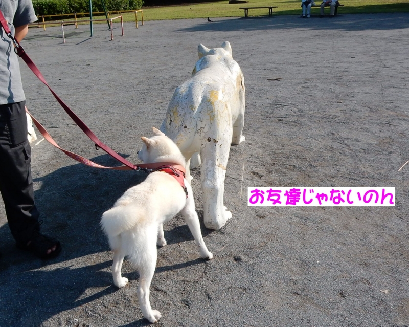 f:id:miyuki1967:20160621113327j:image:w450