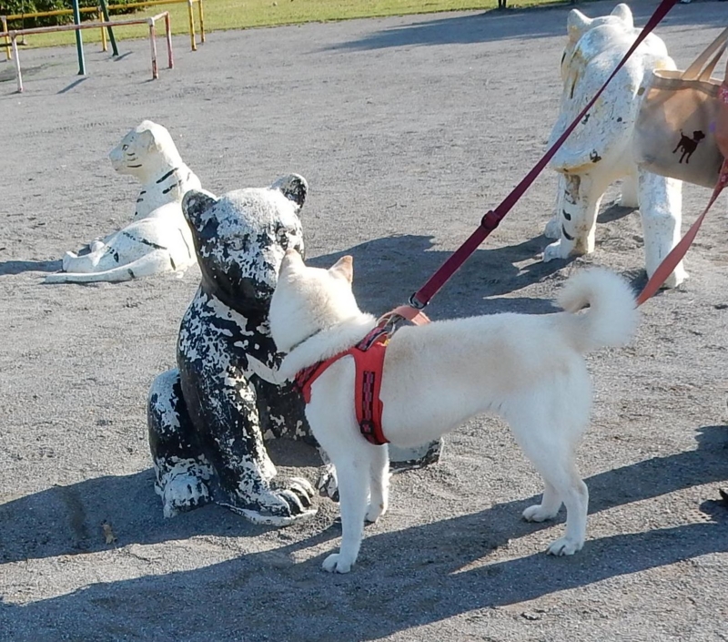 f:id:miyuki1967:20160621113328j:image:w450