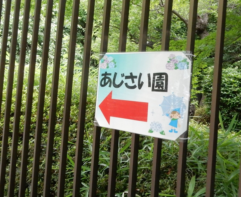 f:id:miyuki1967:20160622112429j:image:w450