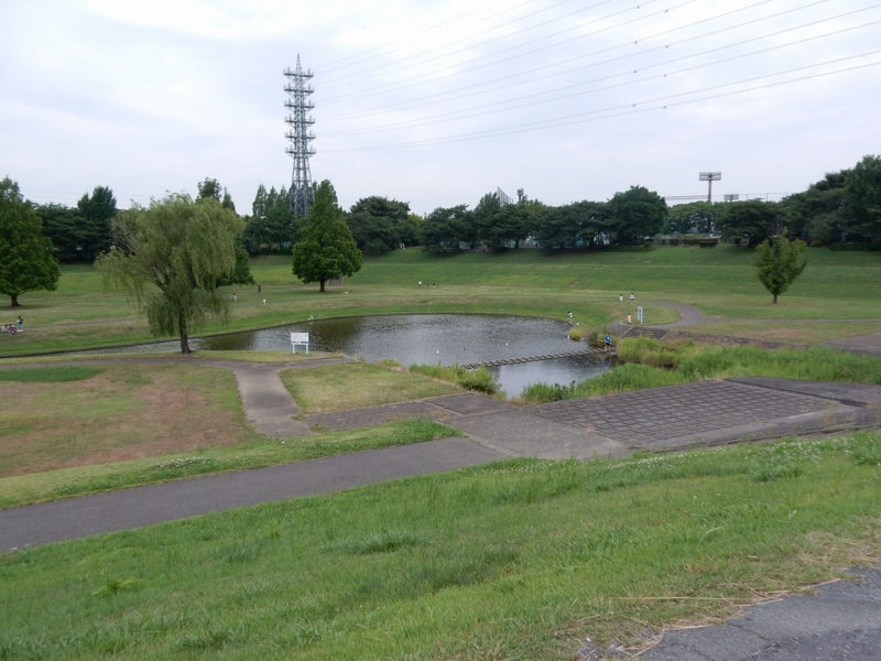 f:id:miyuki1967:20160622112432j:image:w450