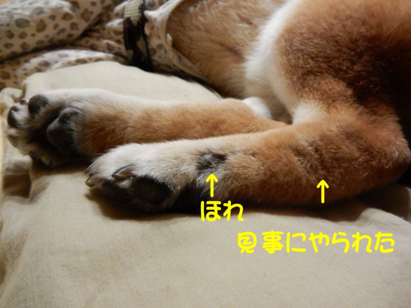 f:id:miyuki1967:20160624114203j:image:w450 f:id:miyuki1967:20160624114203j:image:w450